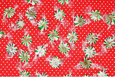 《无人深空》新更新“羽化”上线 带沙虫新宠物冒险